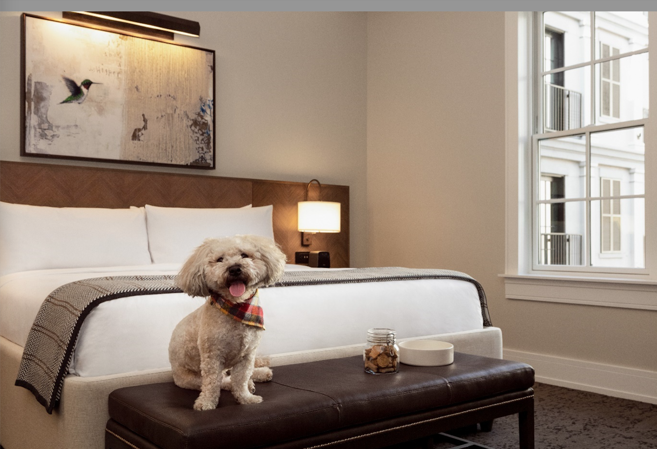 15 Hilton Hotels that Offer Pet Menus